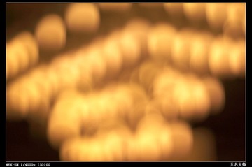 nEO_IMG_DSC01017.jpg
