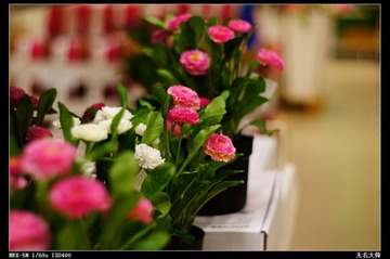 nEO_IMG_DSC01023.jpg