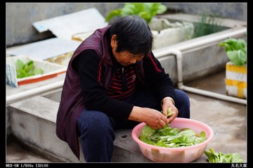 nEO_IMG_DSC01052.jpg