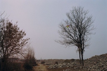 68540031.jpg
