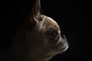 DSC09098a