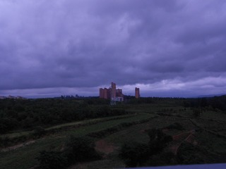 265391