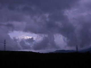 265381