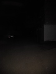 239019