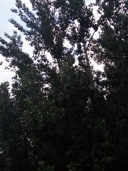249814