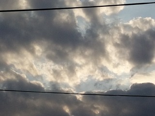 249801