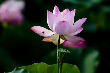 结果