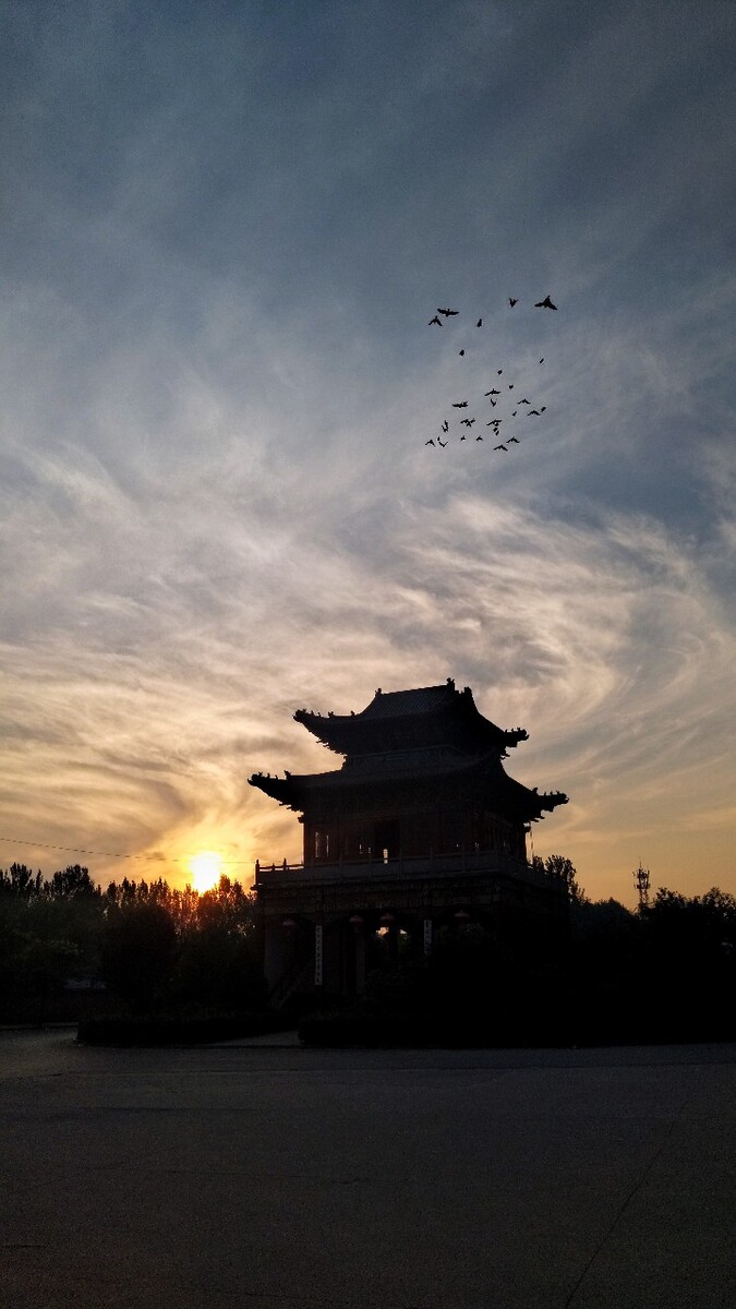 晨曦，早起的鸟儿