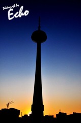 DSC_0218.jpg