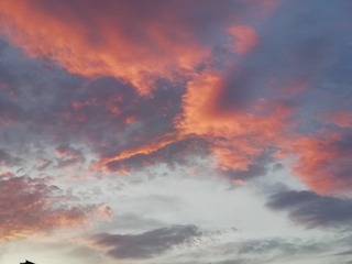 1158396