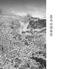 DSCF2683-22344 - 