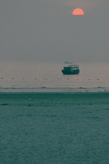 _MG_6842副本-1345