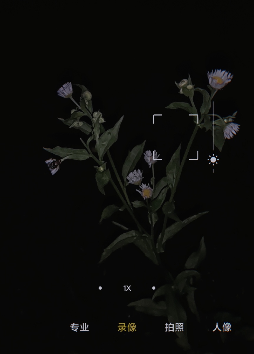 黑色不一定代表我们的心情他只是发泄的情绪点可能不仅仅是孤独患者