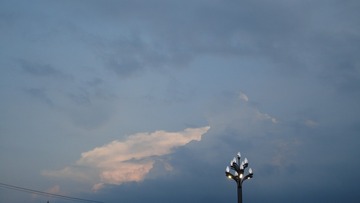 3396031