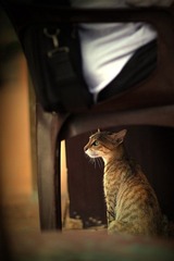 “IMG_8316”为智能对象-1.jpg