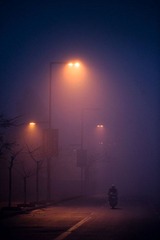 DSC_2235-01 副本.jpg