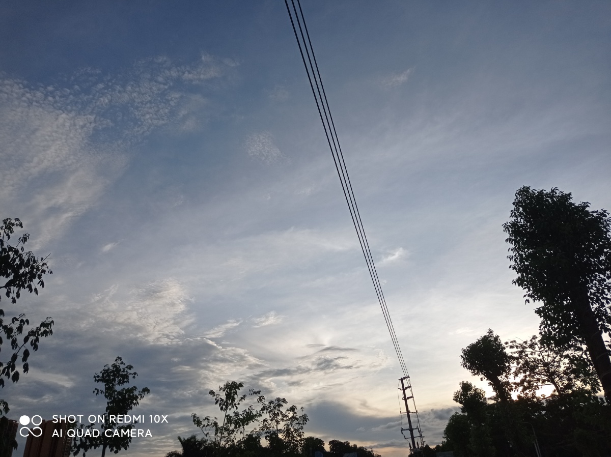 00后的闲鱼关注