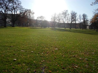 DSCN0927.JPG