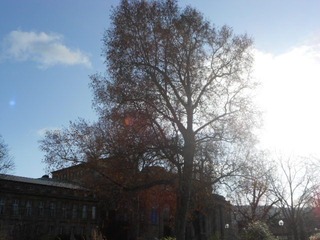 DSCN0929.JPG