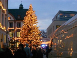 DSCN0868.JPG
