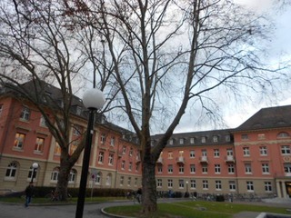 DSCN1257.JPG