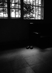 P2150551.jpg
