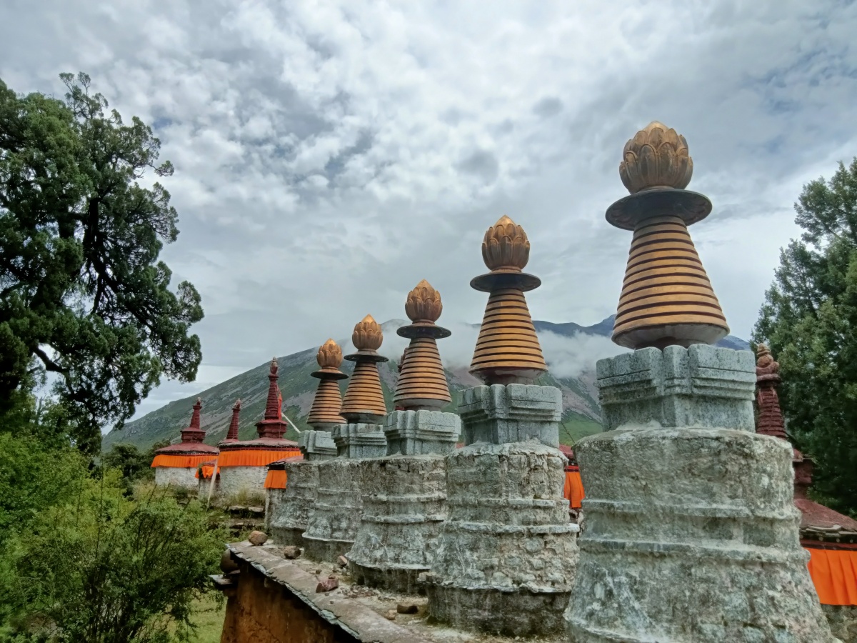 西藏拉萨林卡打卡美景