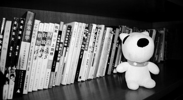 DSC00410.jpg