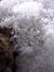 A6A2F017-9D7B-4347-8819-746B69E93CBE/L0/001