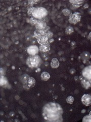 999B636E-AFF8-4843-812E-4EB5E242D82A/L0/001