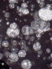 2DBBDD8E-BFBD-4E2A-A435-5DAFDEDD8D42/L0/001