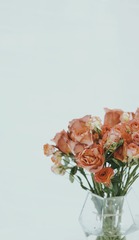 1D59655F-1834-4169-8EA3-BD0455816569/L0/001