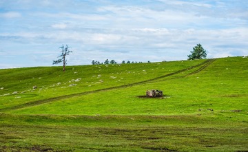 DSC_1391.jpg
