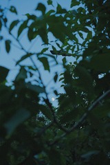 A43E4518-5480-44F7-A2E5-5635B24ECFDF/L0/001