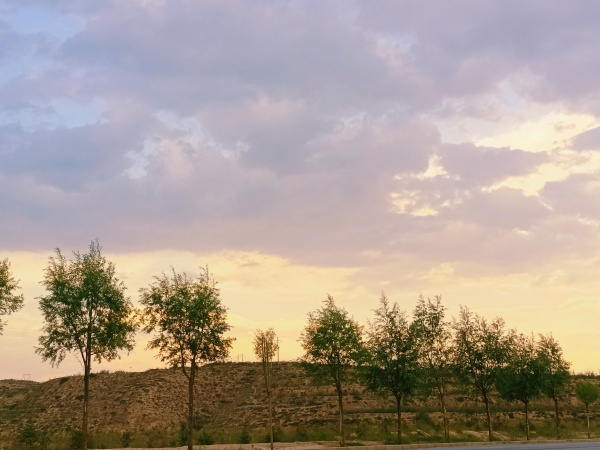 少年感是什么的最新作品