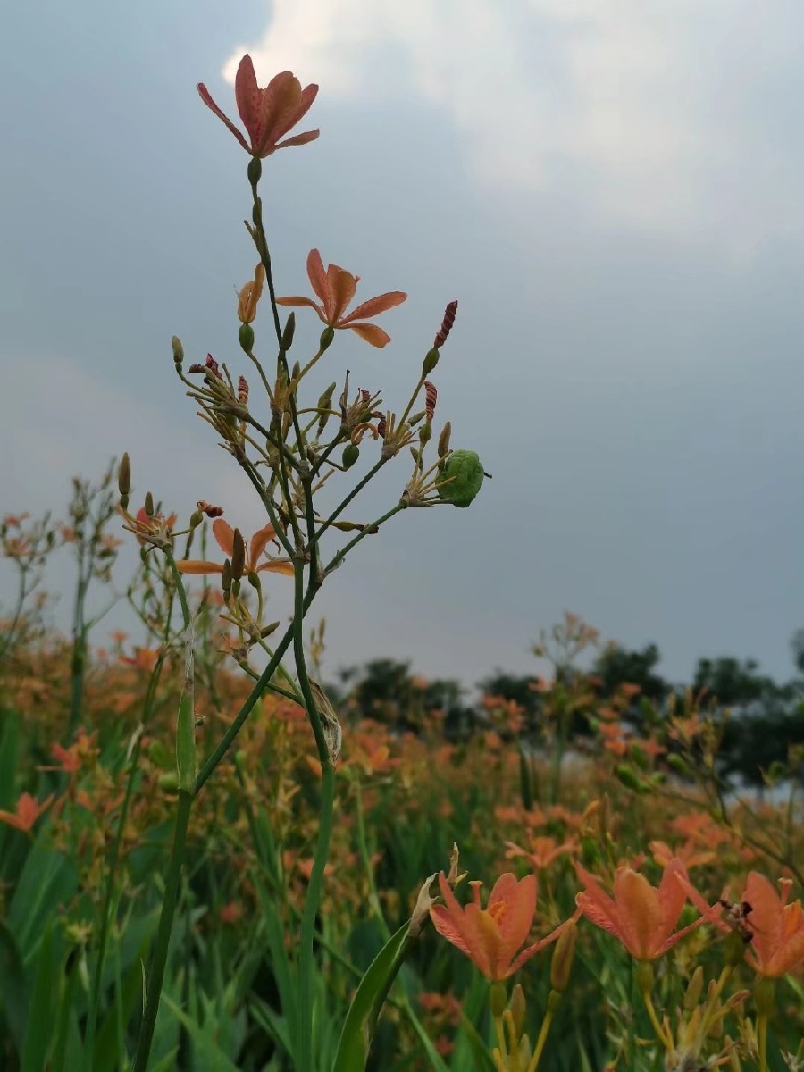 视觉的饱满是心灵的充实