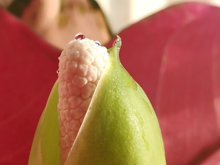 126