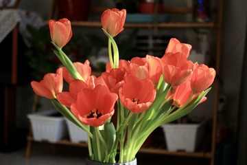 D2B70B88-74F7-4B3C-AB88-5DD1CDAA7F3D/L0/001