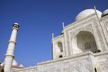_MG_2116.jpg