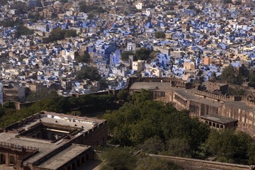 _MG_3021.jpg
