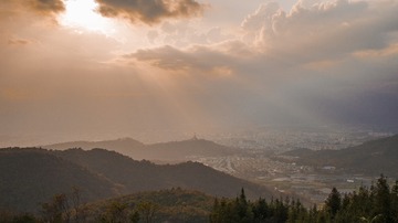 1557106