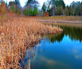 Untitled_Panoramassss3.jpg