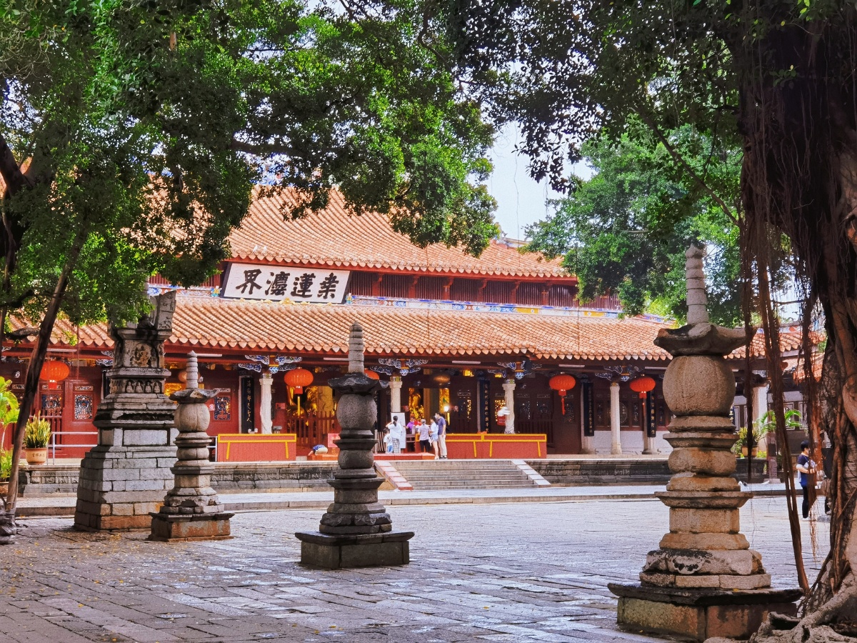 福建泉州开元寺的石塔古树
