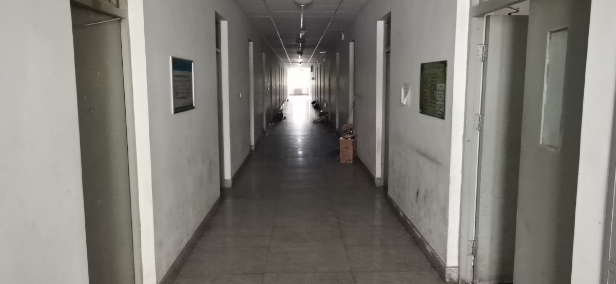 学校的大盘鸡和宿舍走廊