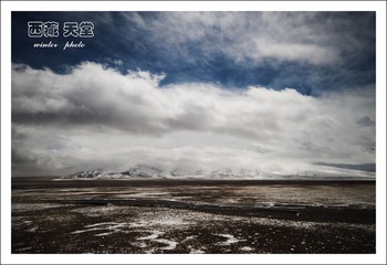 IMG_5266.jpg