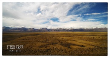 IMG_5339.jpg