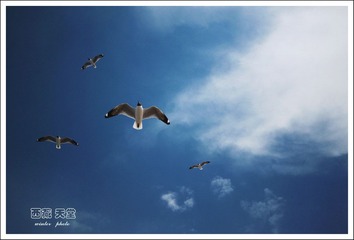 IMG_5896.jpg