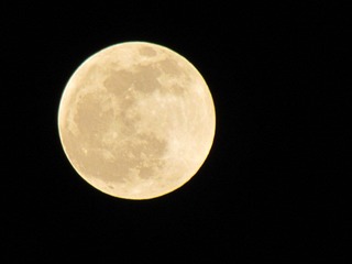 IMG_0846.JPG