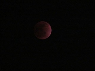 IMG_0887.JPG