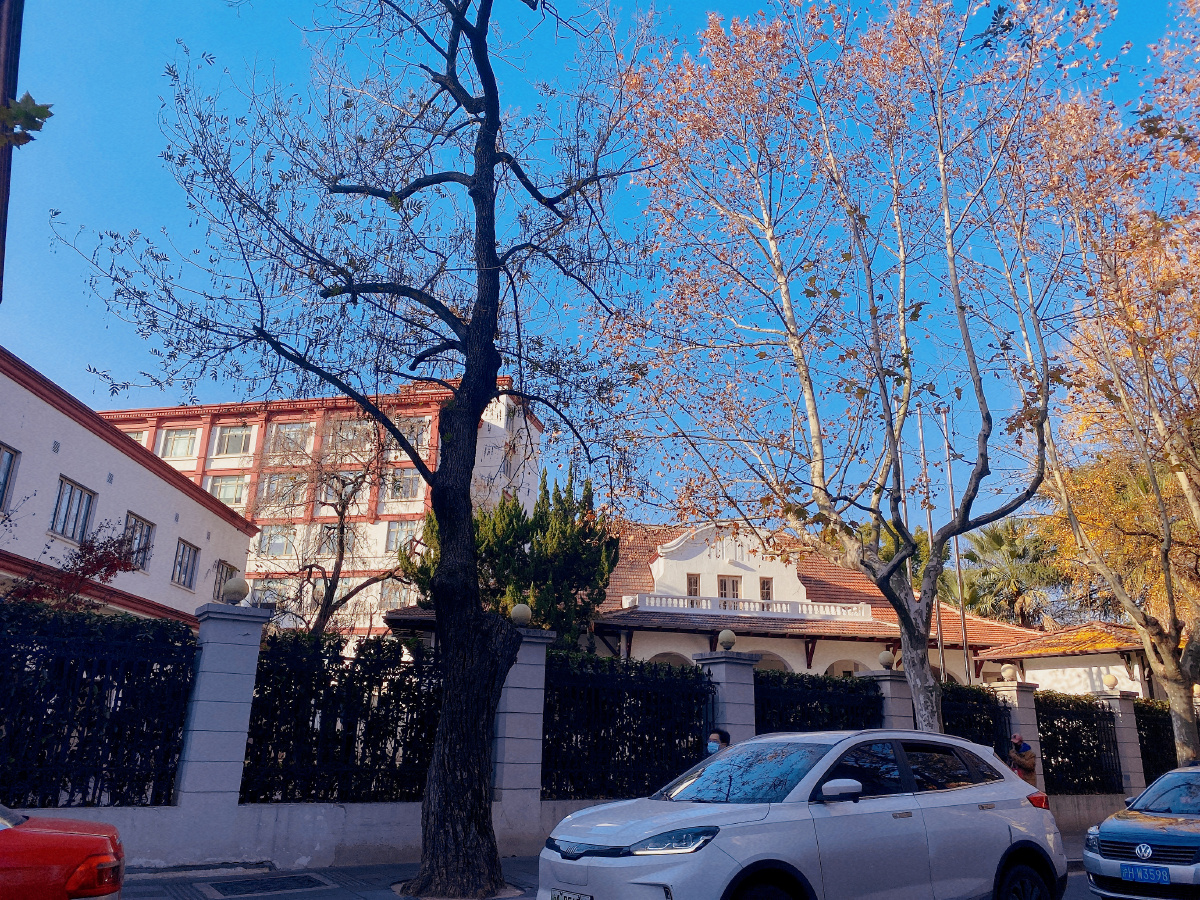 冬天上海老街道